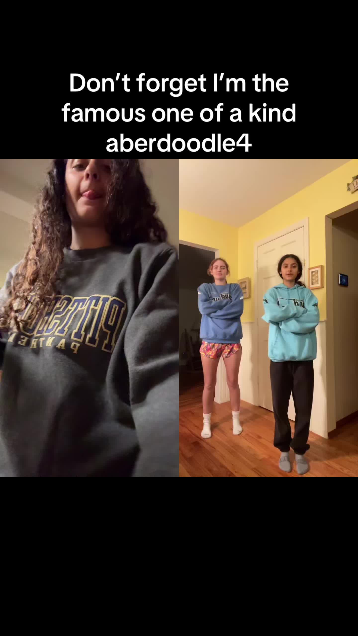 @doodleeldood