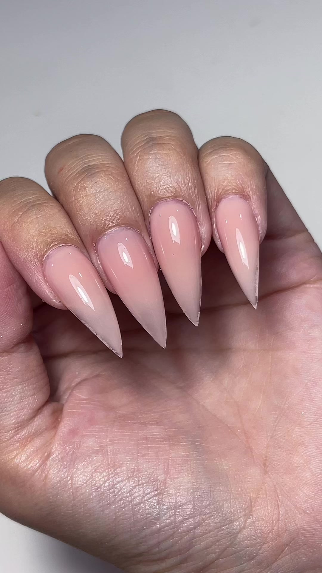@clawsbytasmia ✨