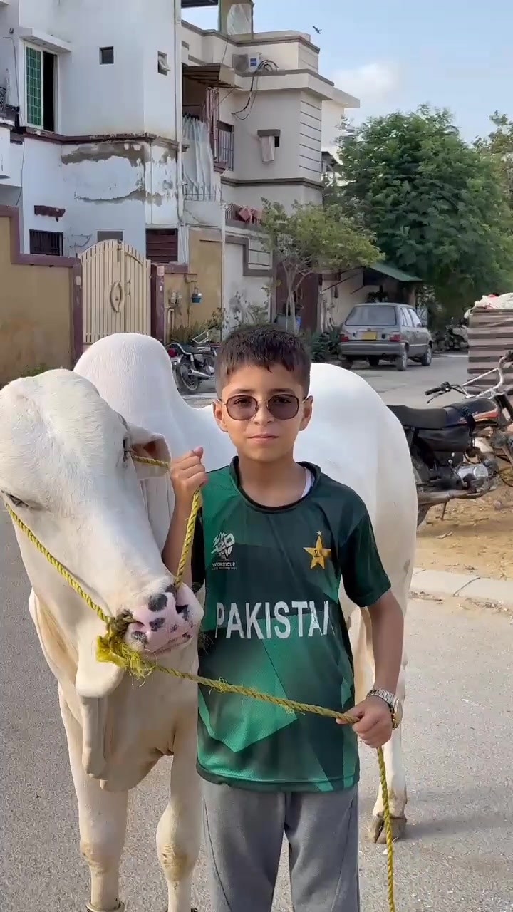 @👑Rehmat😎yousafxai?