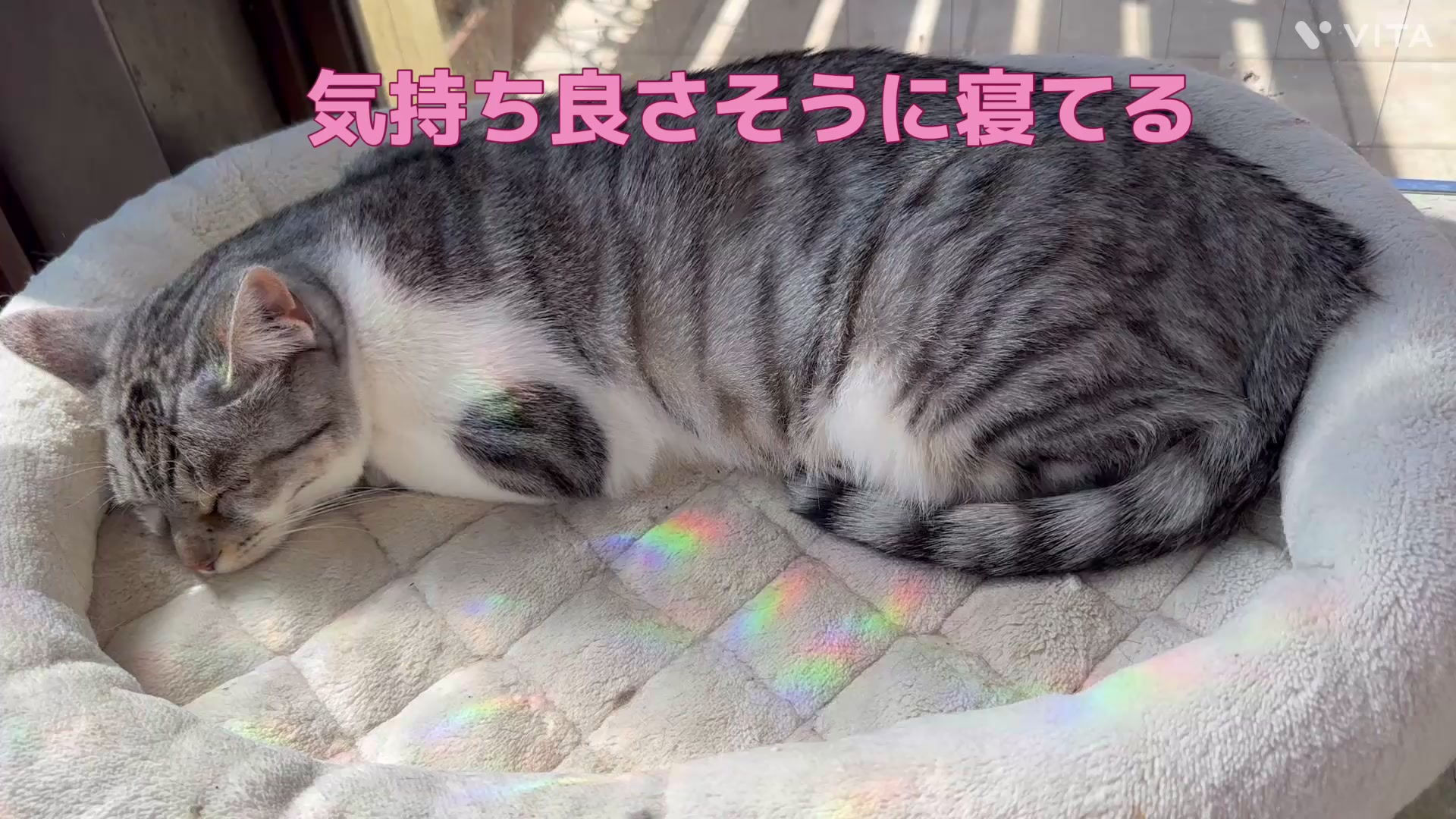 @ããããð€ð