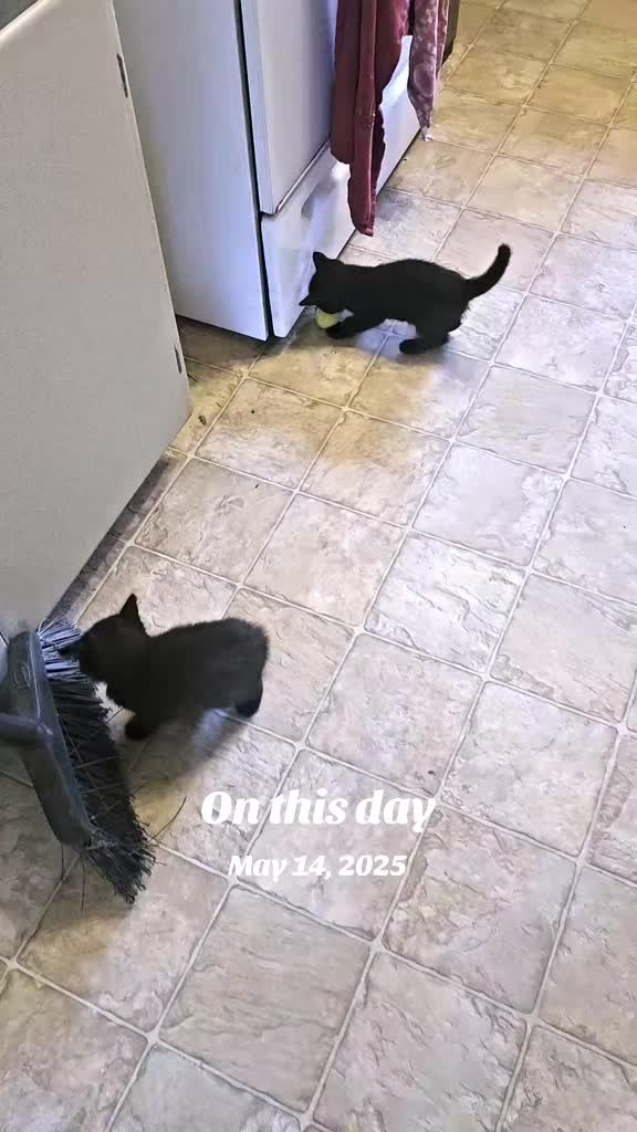 @Sonia&Rosieroo&hearts;️🐾