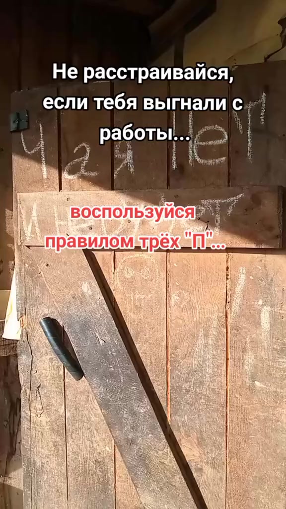 @Мой котик