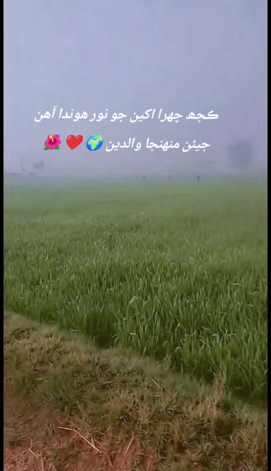 @AقSa_Aلiii_official ✨🌍💝