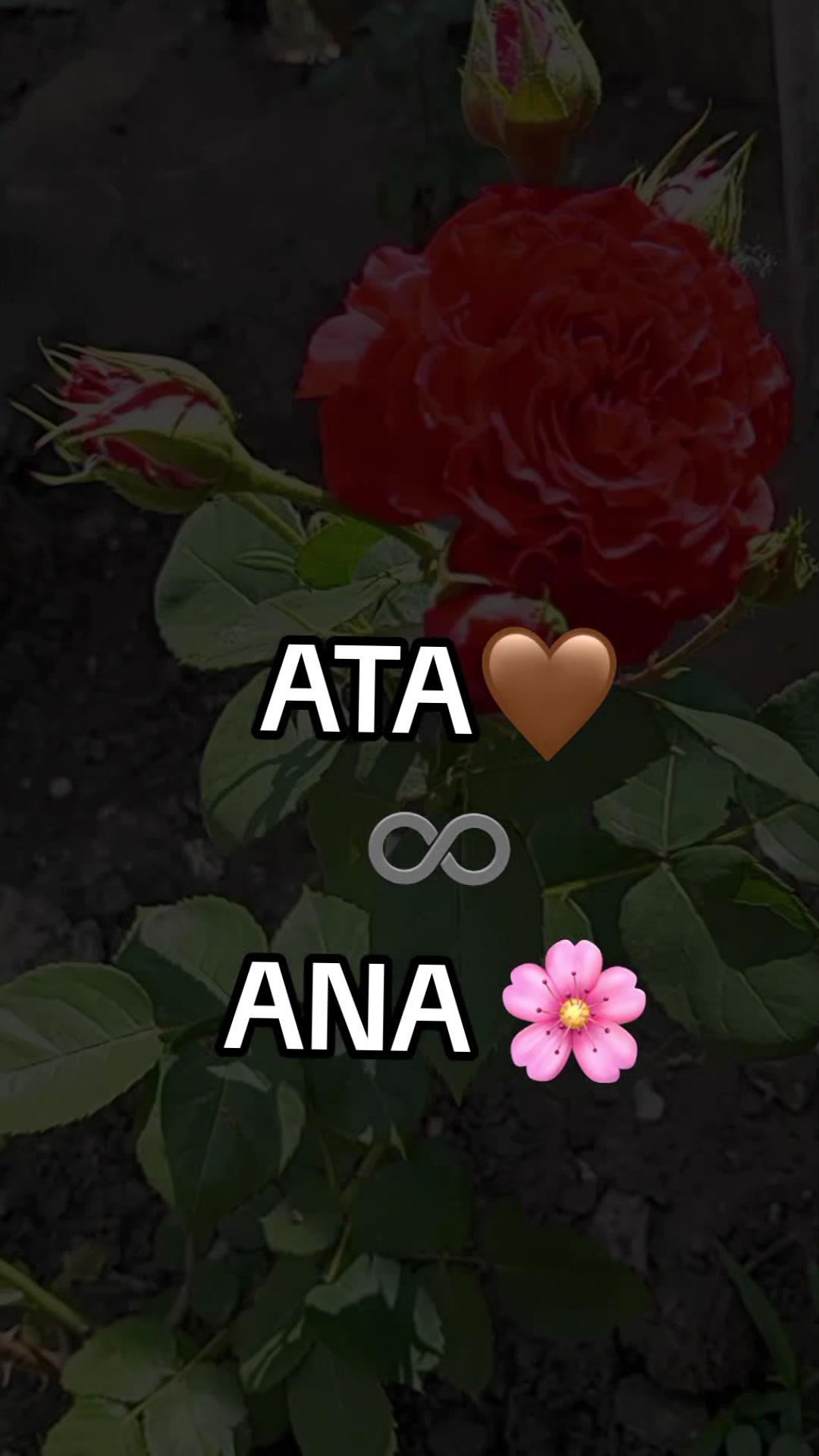 @♡𝙈𝙞𝙣𝙣𝙤𝙨̧➷♡🌸