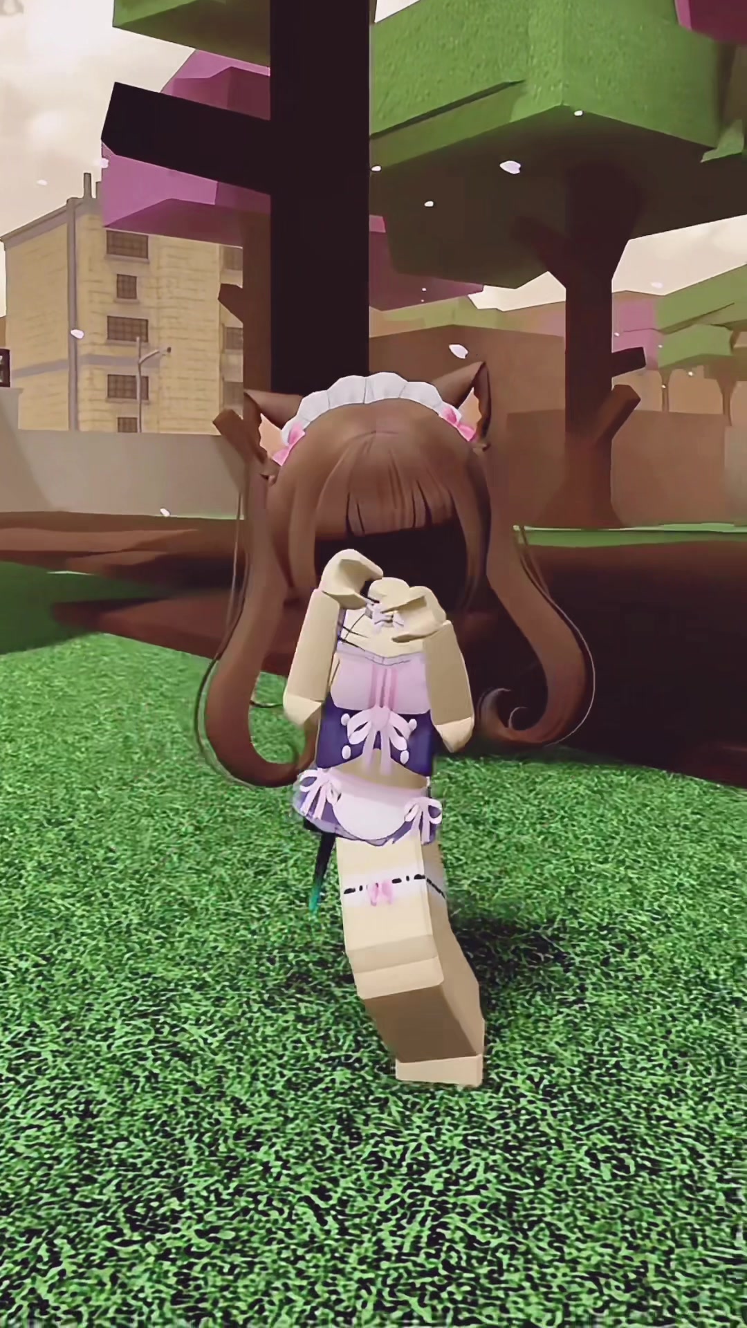 @ฅ^•ﻌ•^ฅ