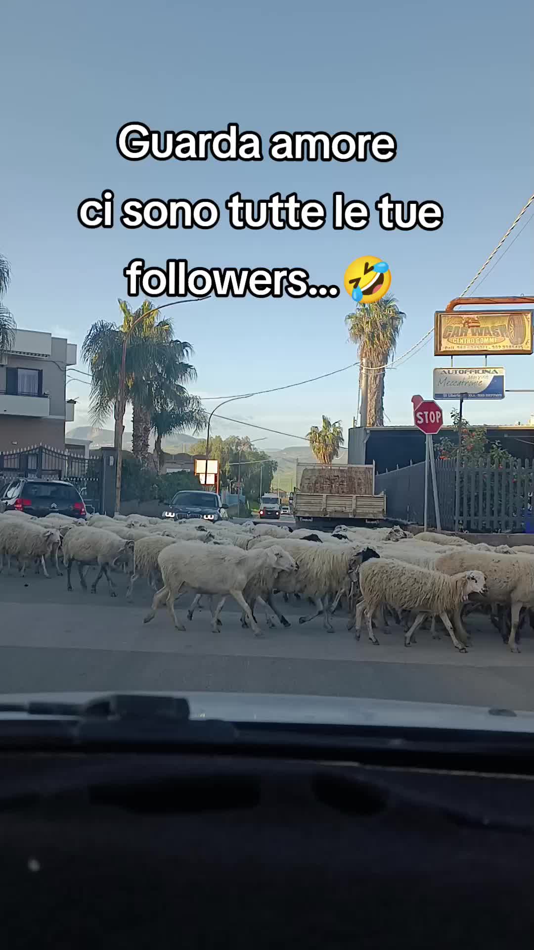 @Giusy Sciacca