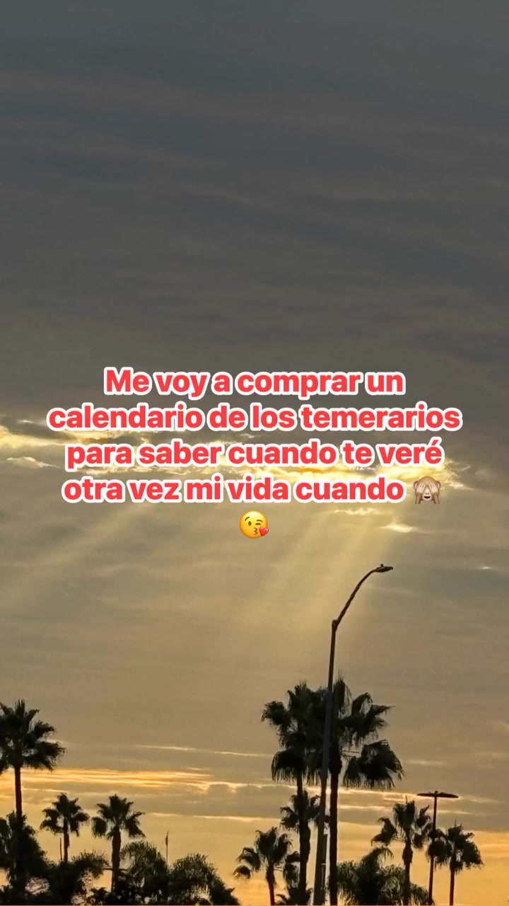 @Alma Baez295