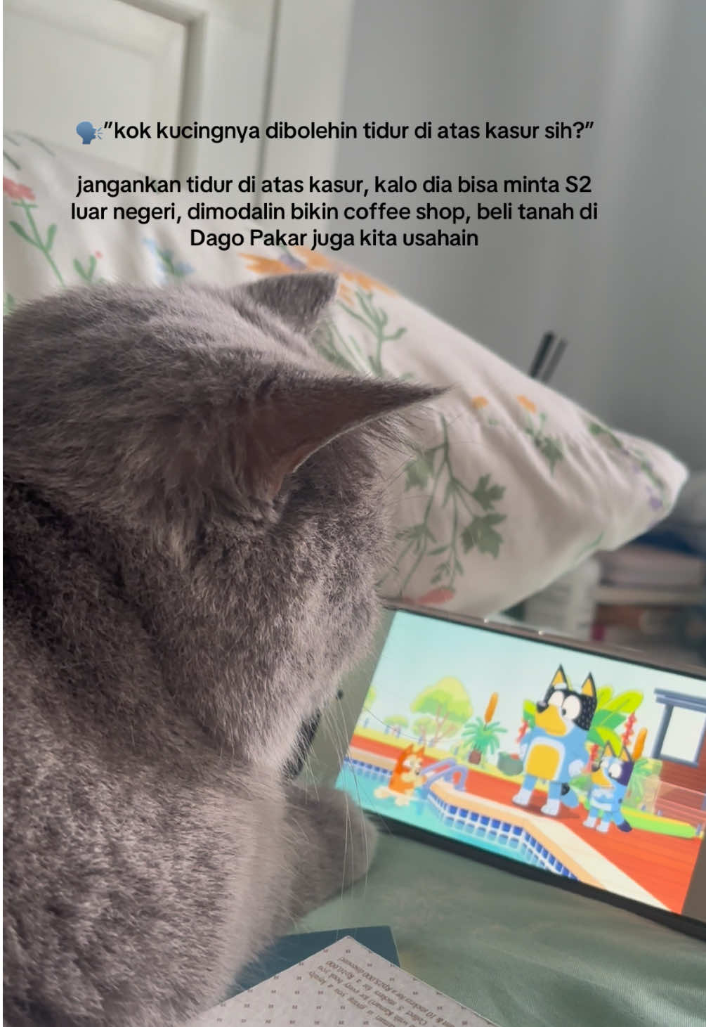 @Dewi