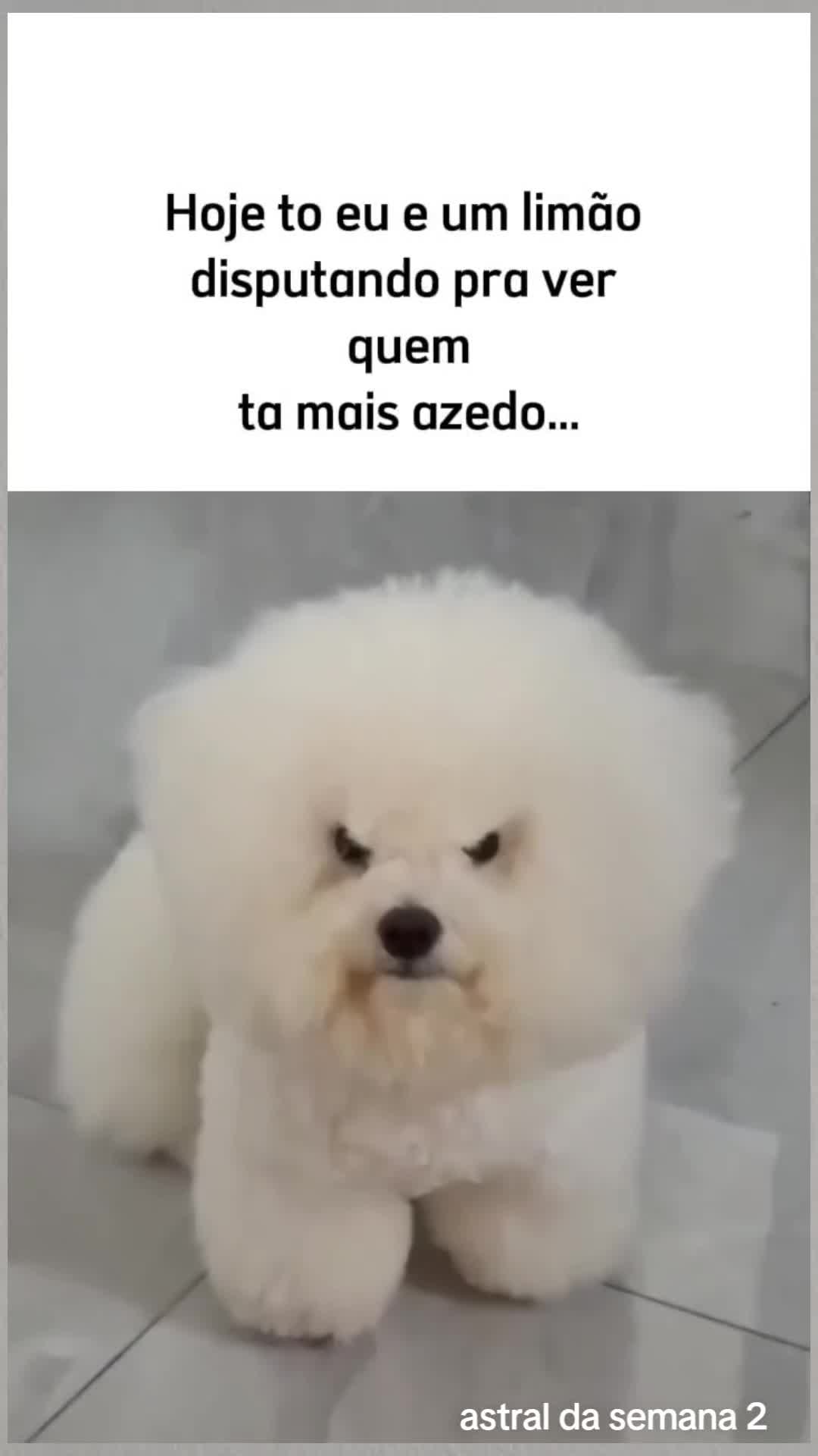 @Astral da semana 2