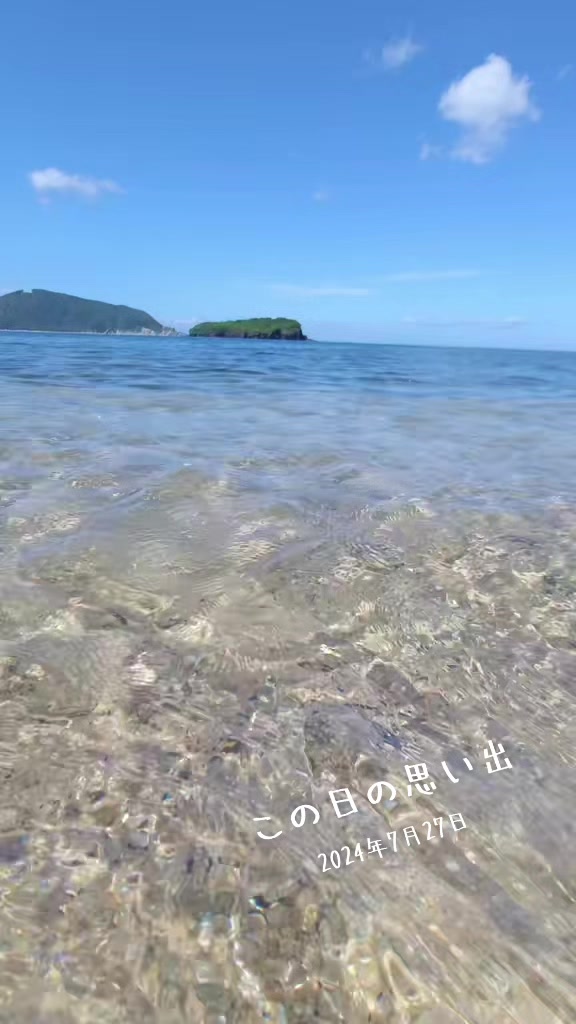 @猫写真家 森永健一