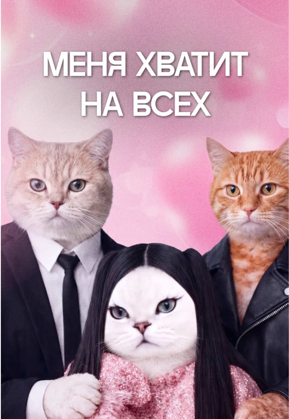 @Интроверт
