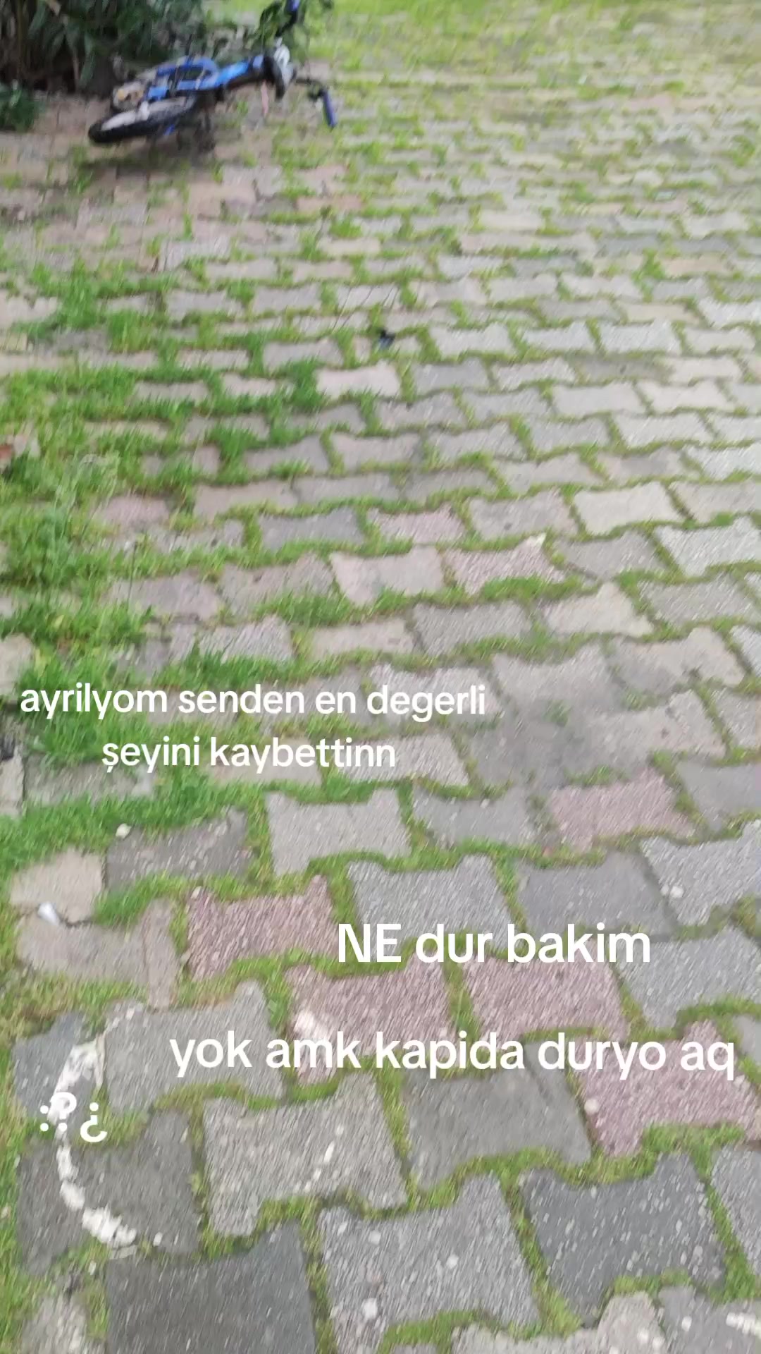 @๐๐๐Ü๐ Ç๐๐ℑล