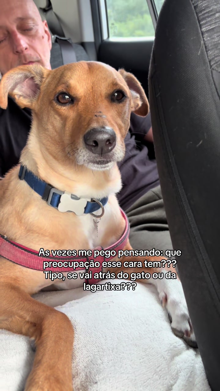 @Julia Fragoso