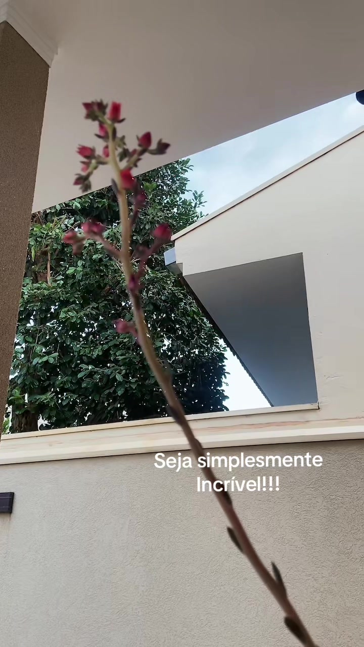 @Mahhelena