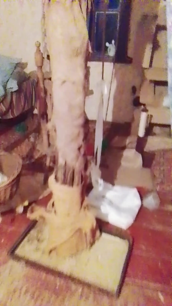 @Dgeki