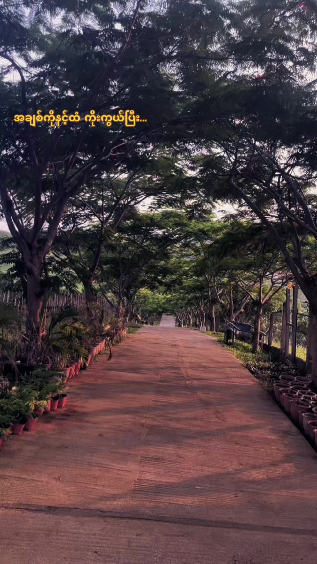 @Poe Zar Chi Aung