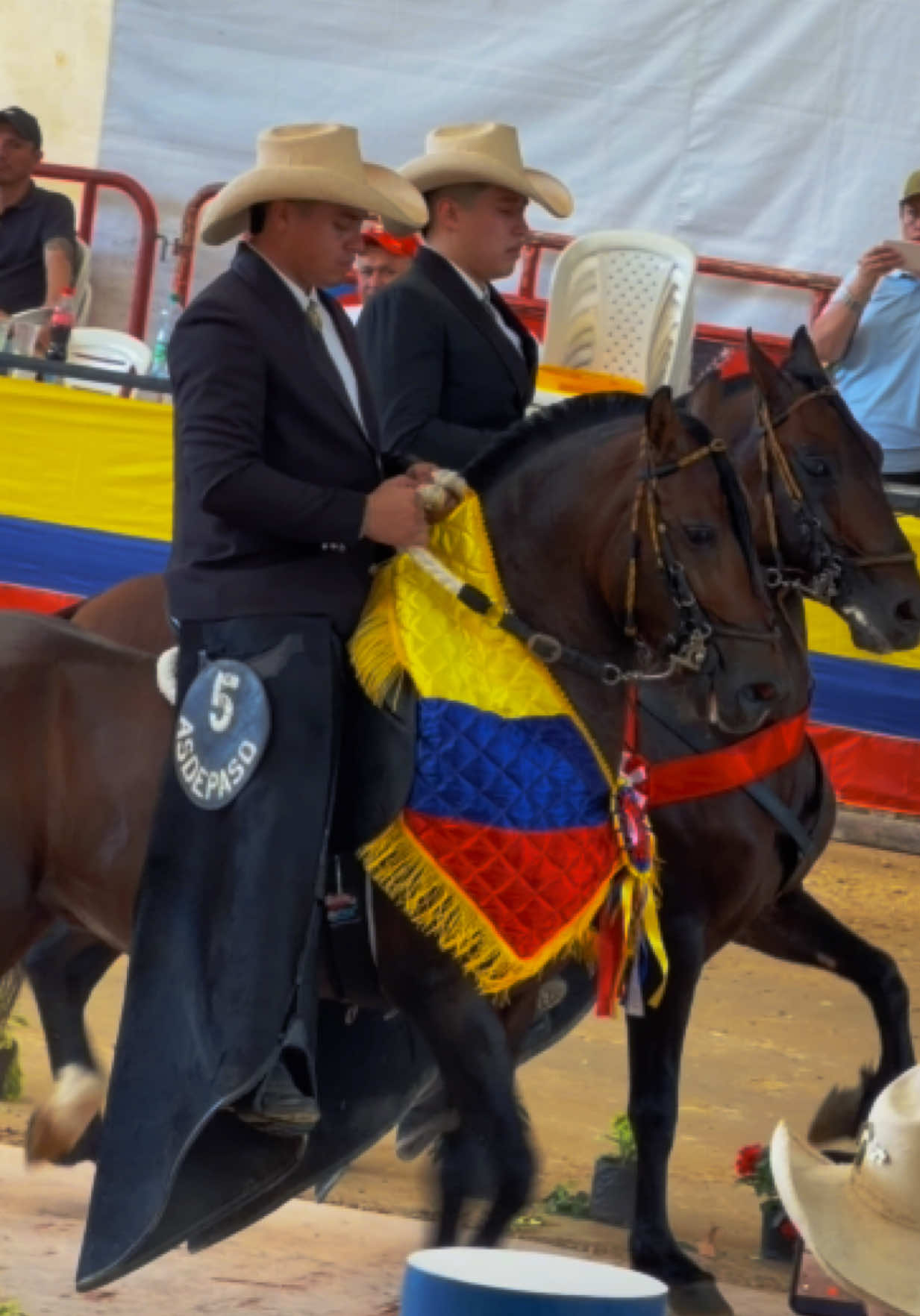 @Solo Caballos