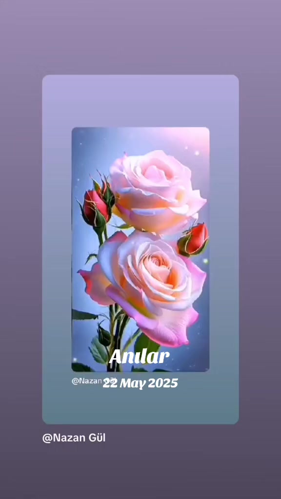 @🌹🌹Nazan Gul 🌹🌹