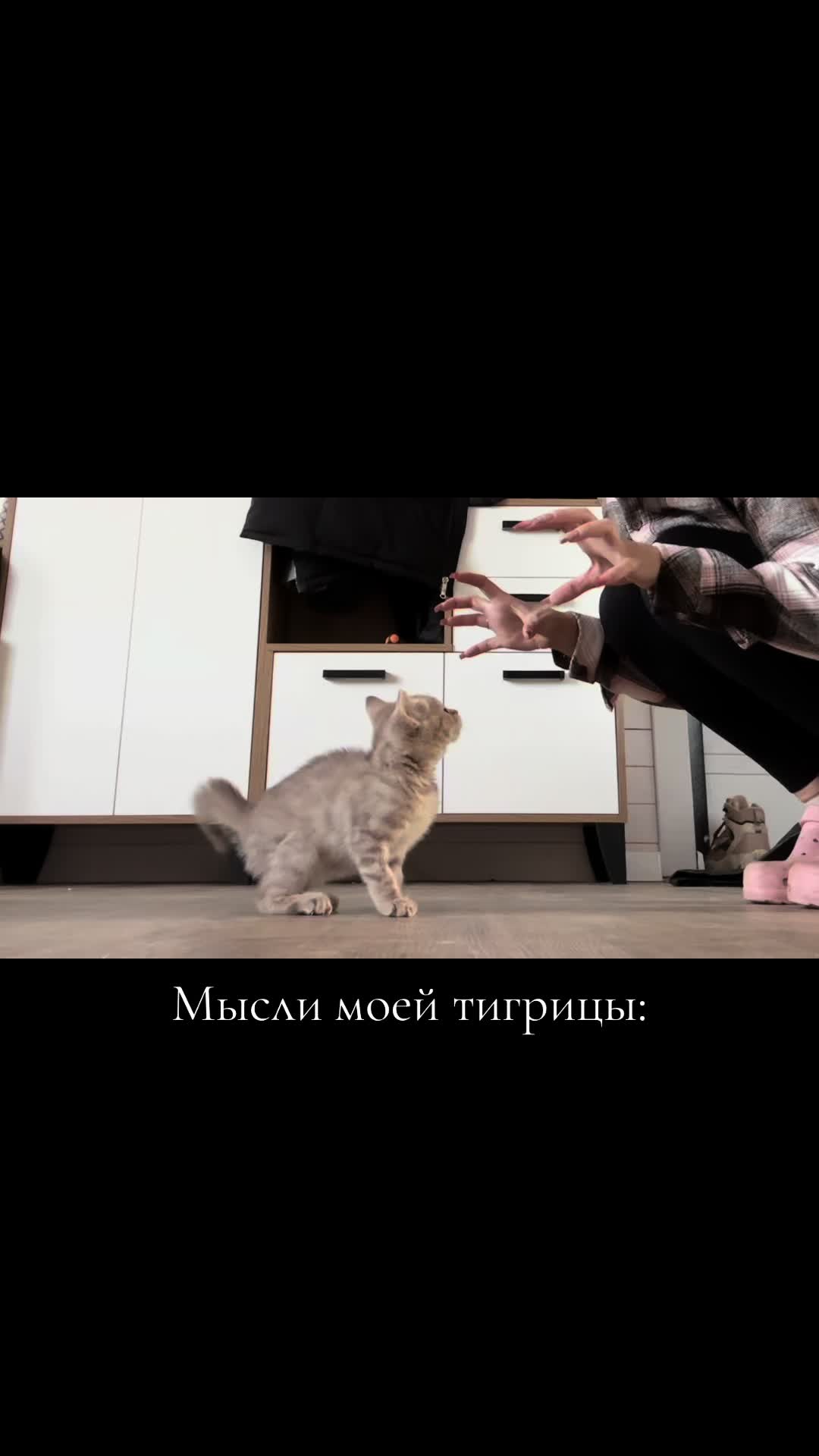 @__sunshine___