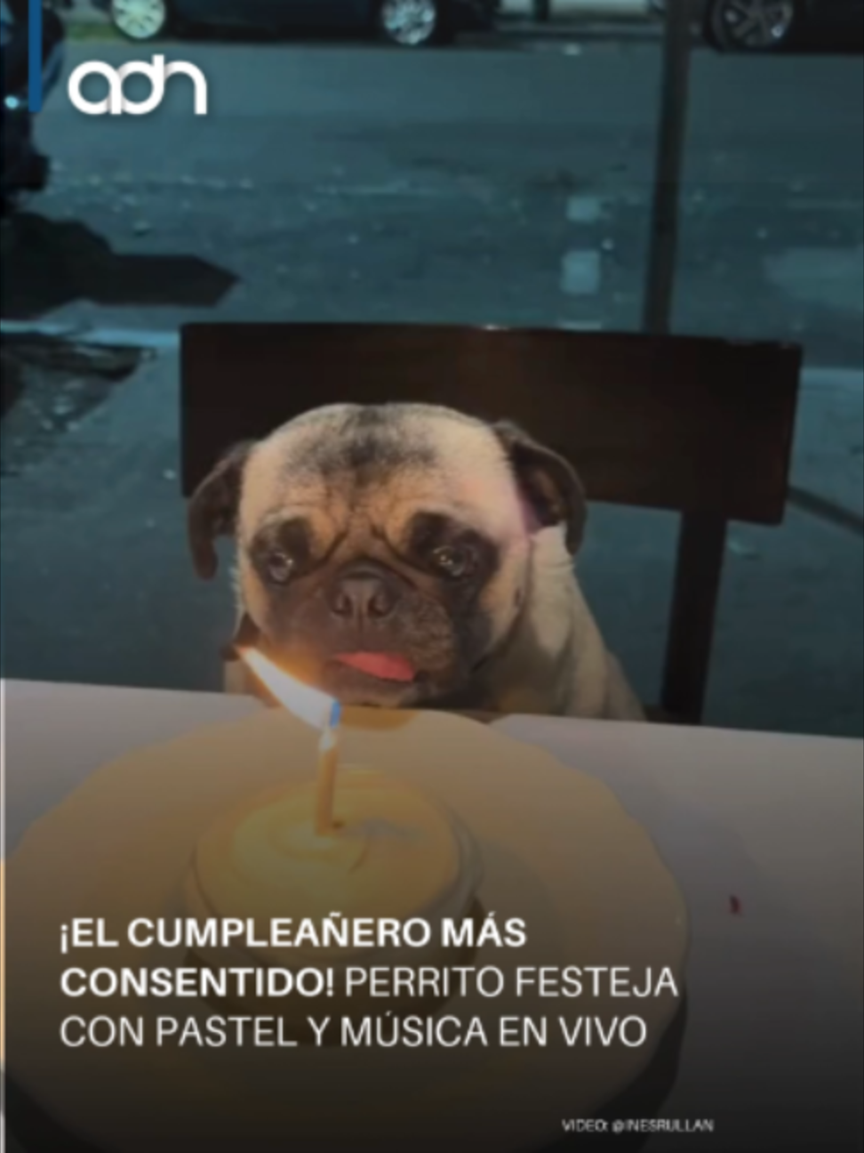 @adn Noticias