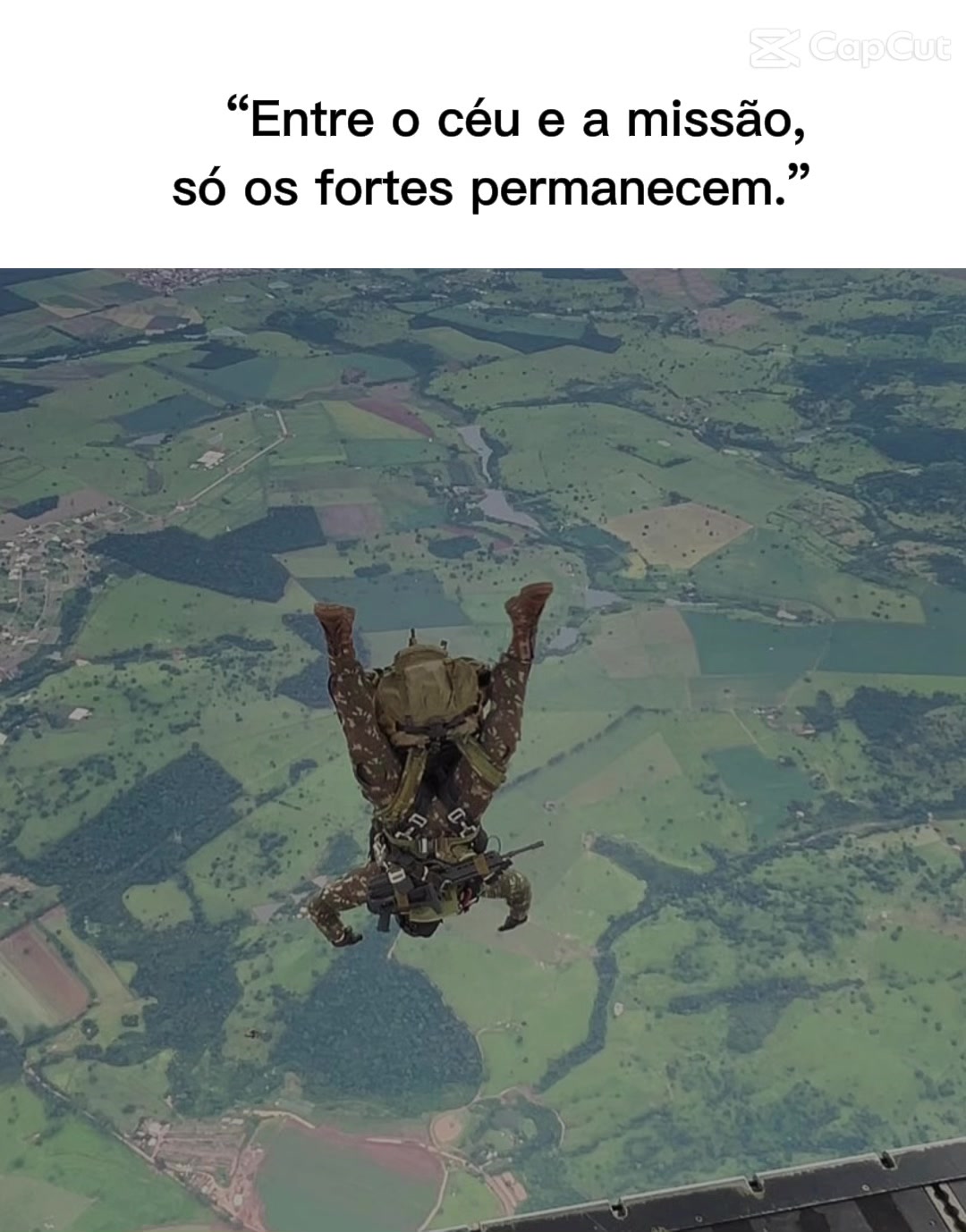 @EcoTatico🏴