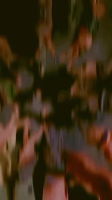 @𝙎𝘼𝙍𝙛𝘼𝙍𝙊𝙎𝙃