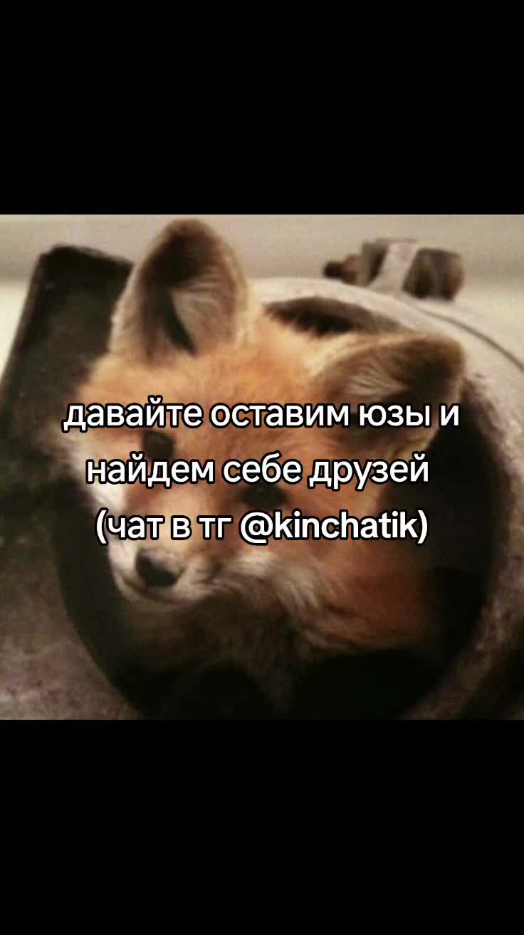 @cqtagger