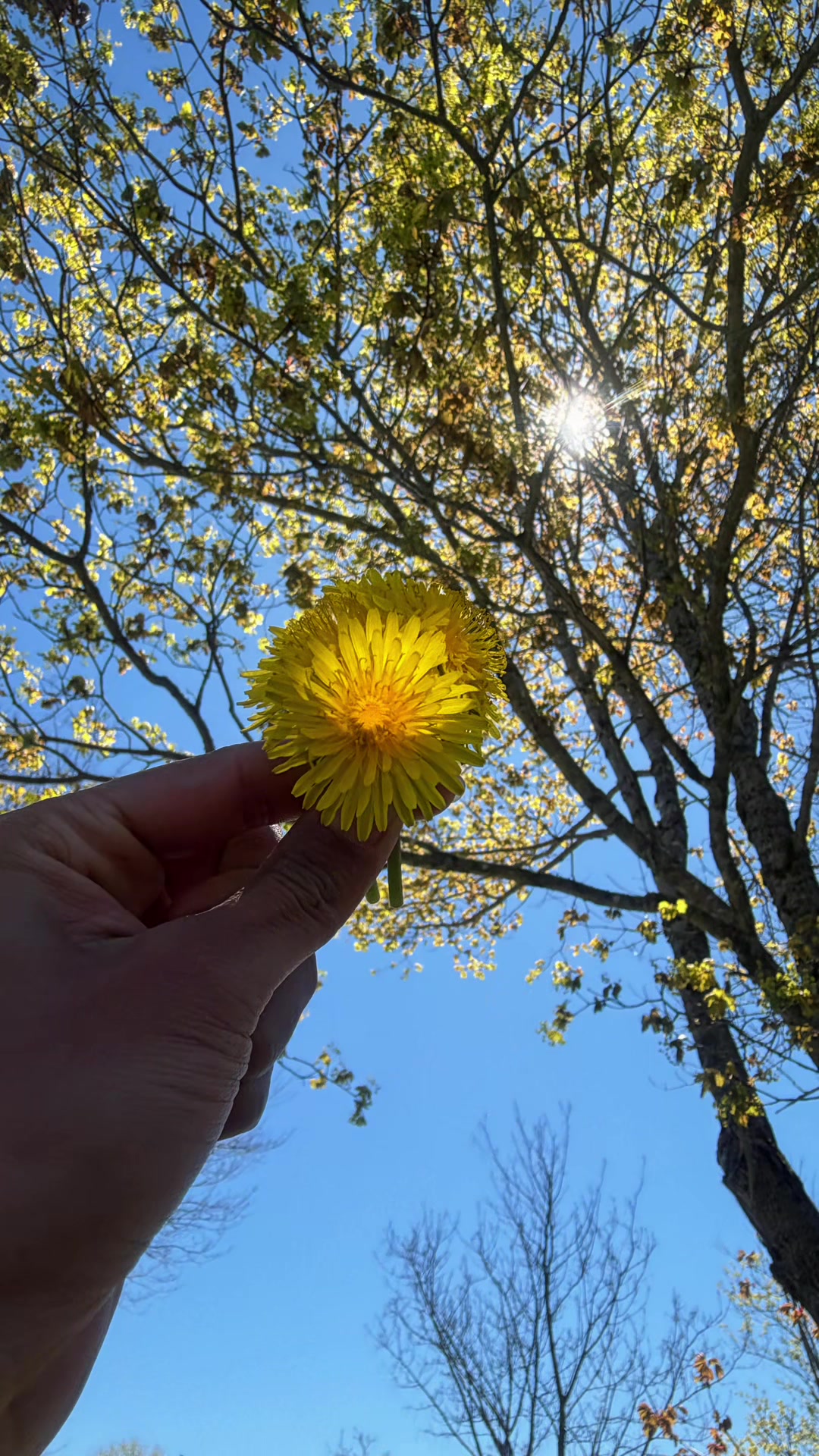 @Natali