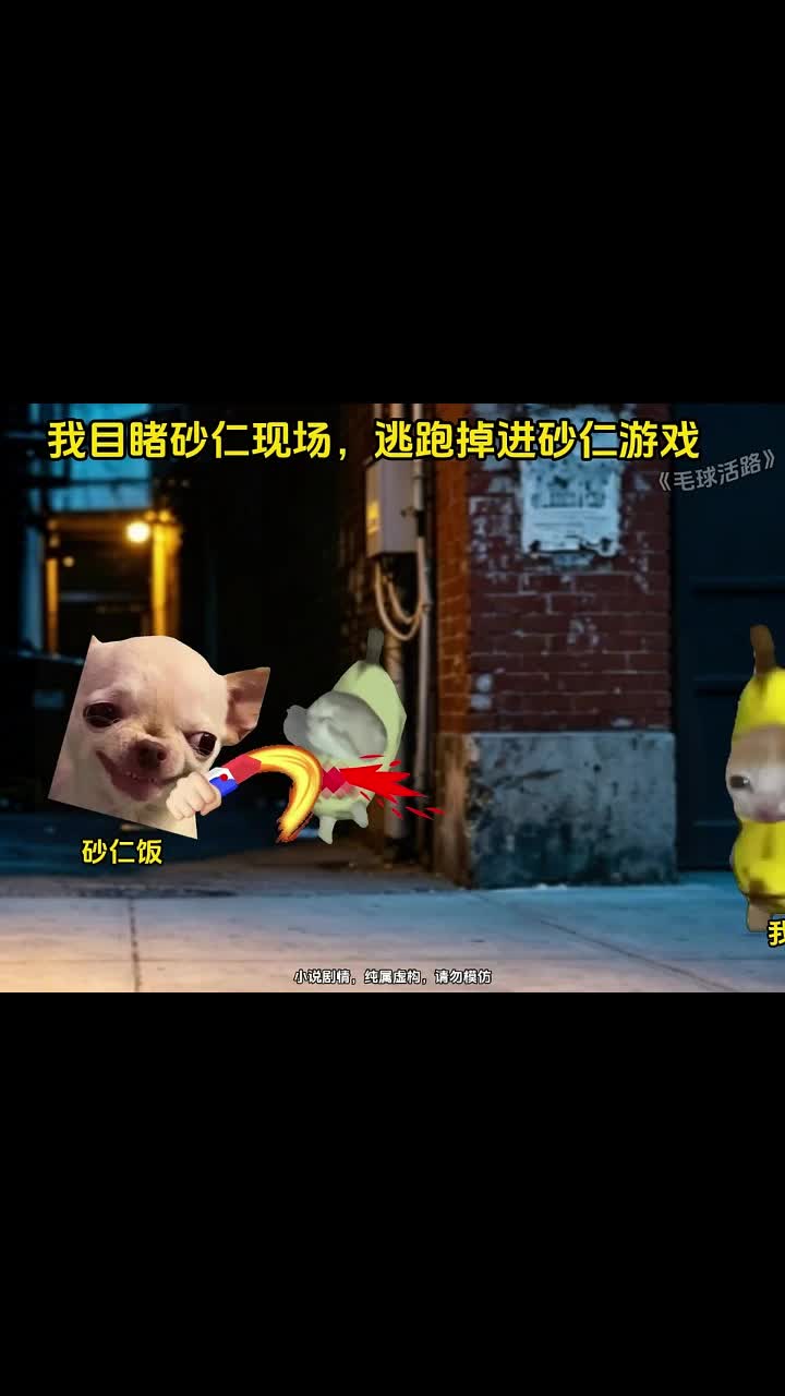 @catmeme4239