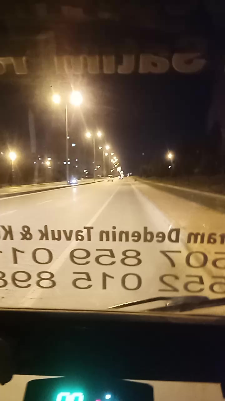 @nefretimsin dünya
