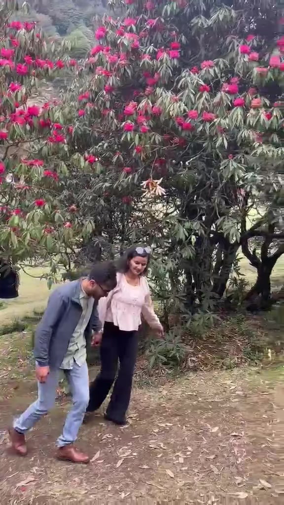 @Dharmendra karki