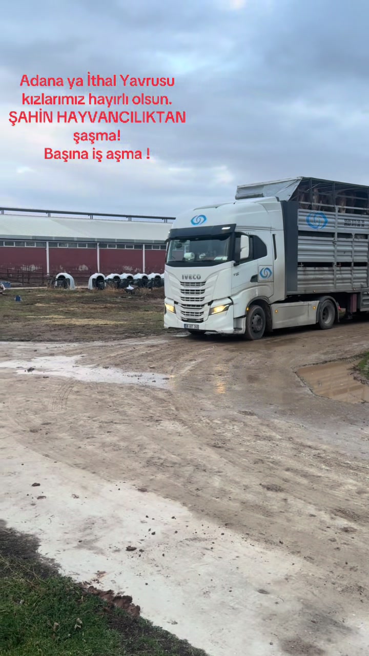 @Onur şahin 0544 842 73 19