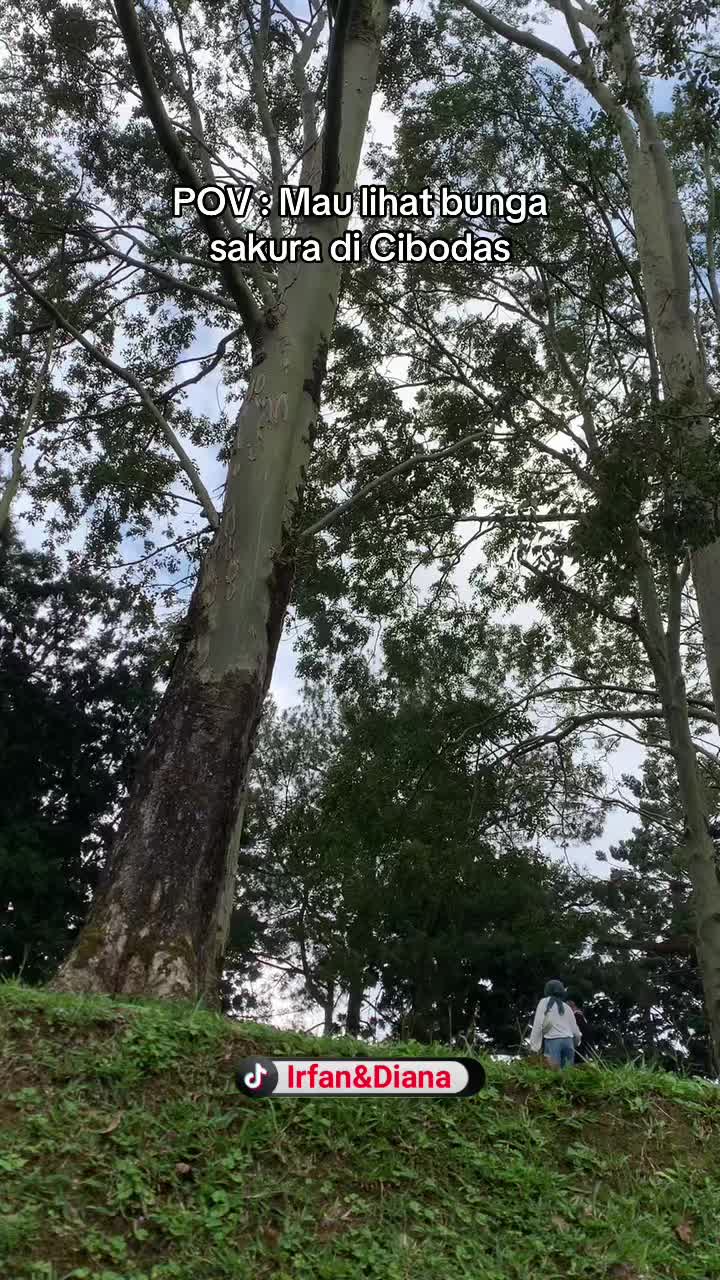@Irfanndiana