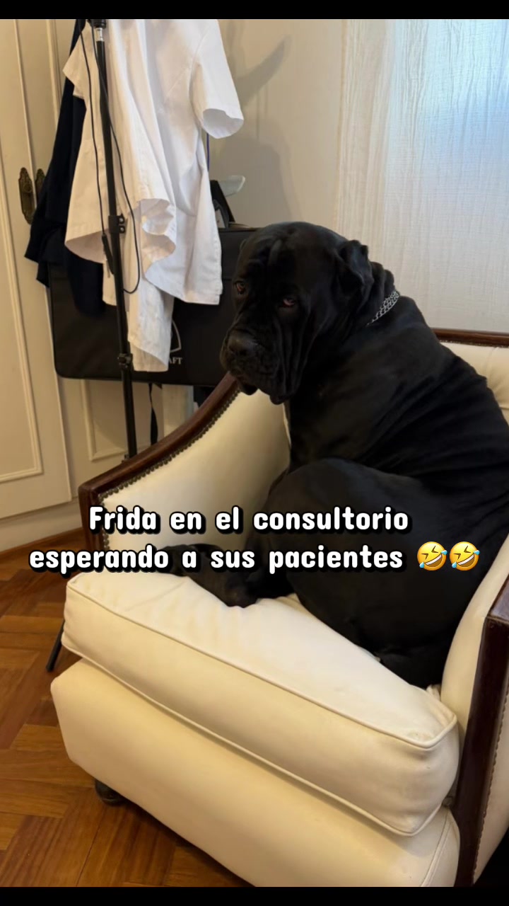 @Anto