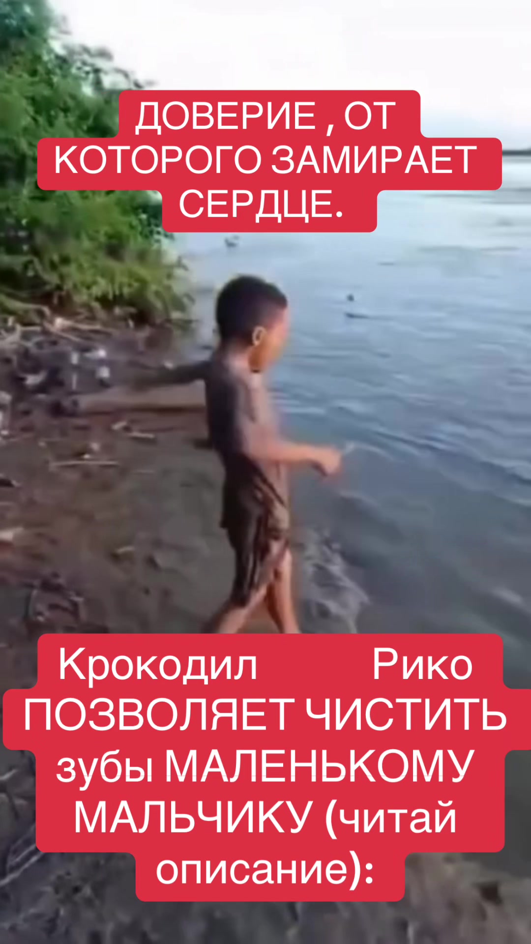 @shoblinskis