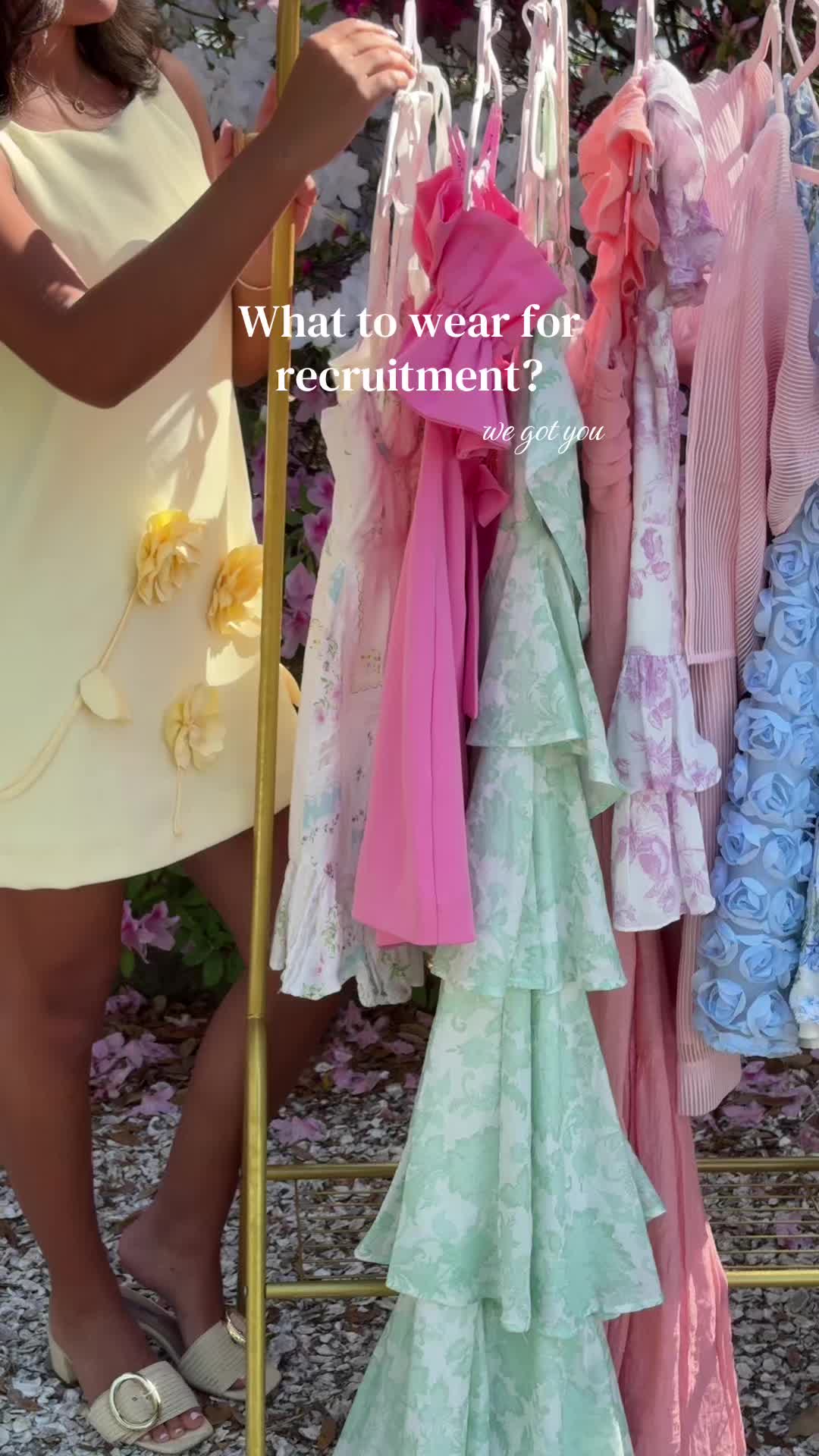 @Alpha Delta Pi CofC