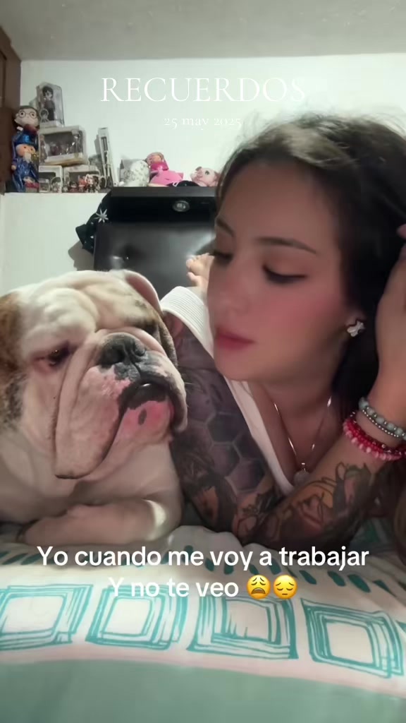 @Mitzi Arjon Diaz