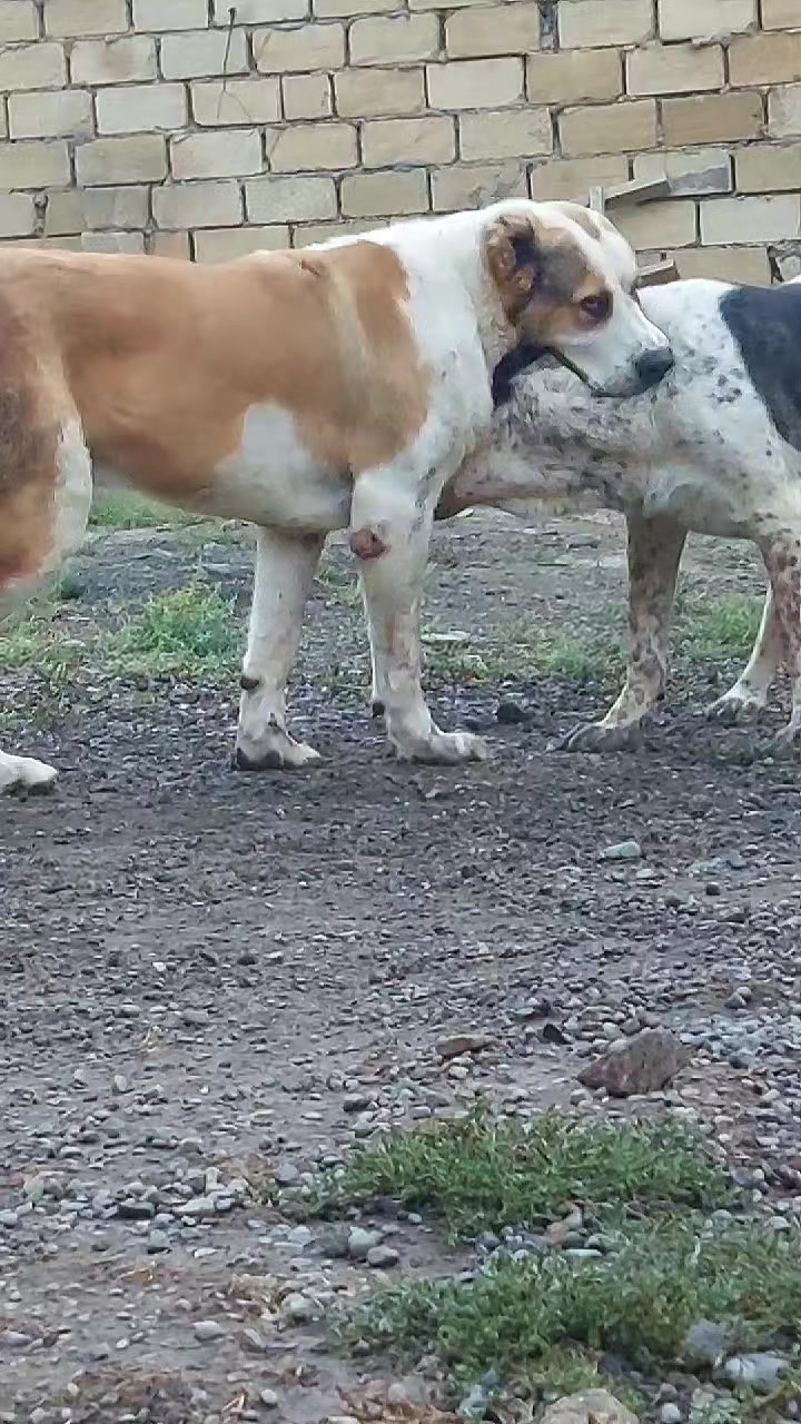 @Elşad__007