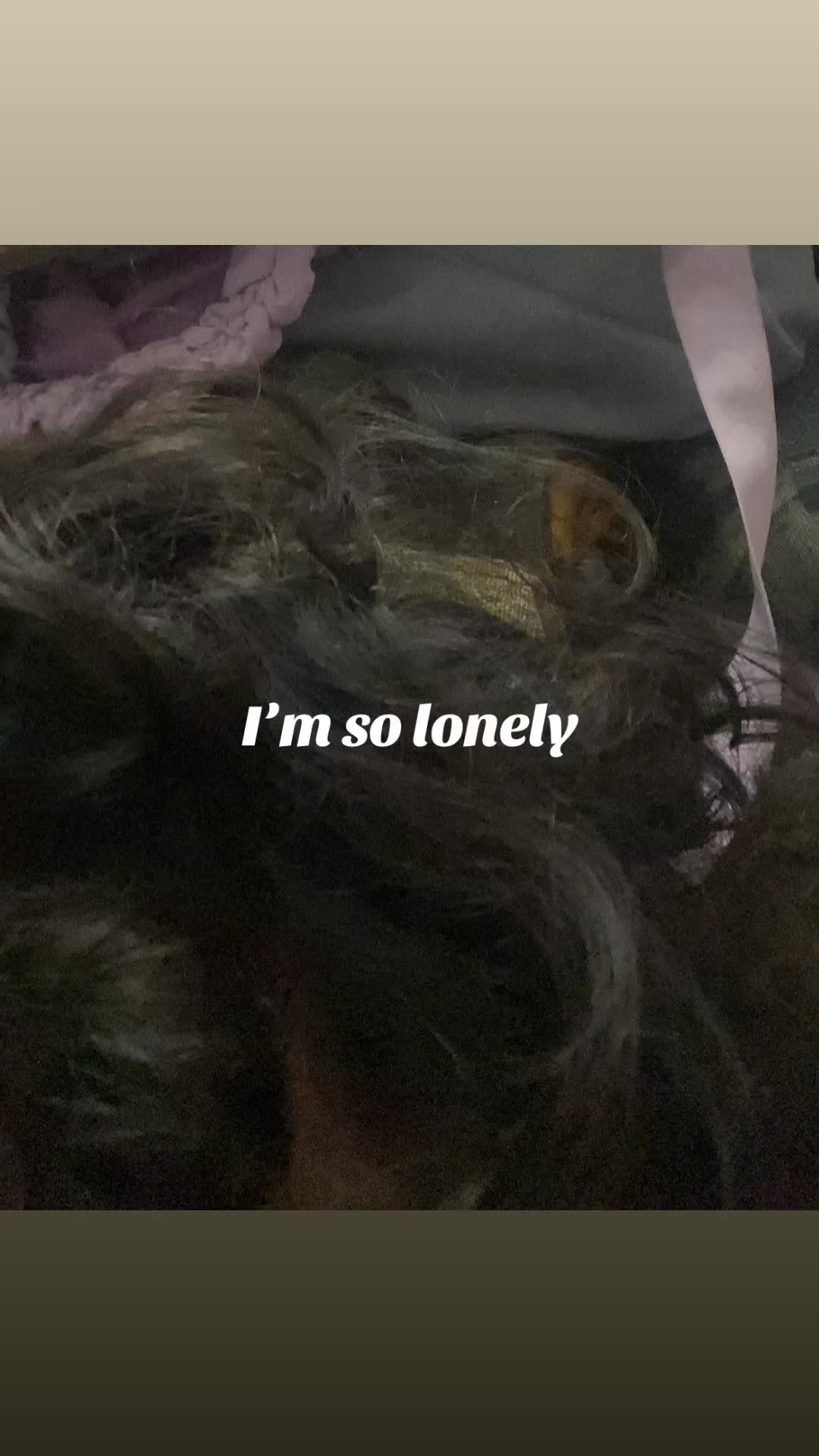 @&AElig;Ħ