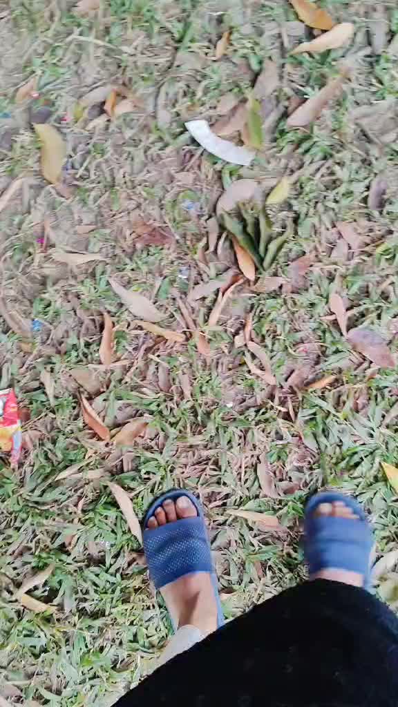 @Ariyan Ahammed Rifat
