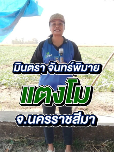 @4Tree A4S Thailand