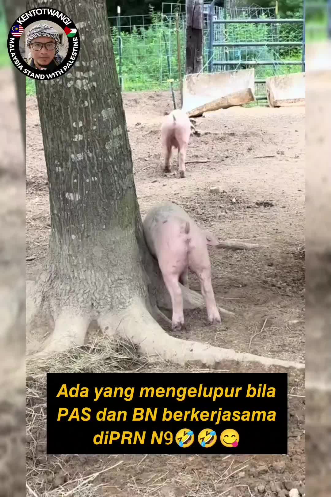 @KentotWangi