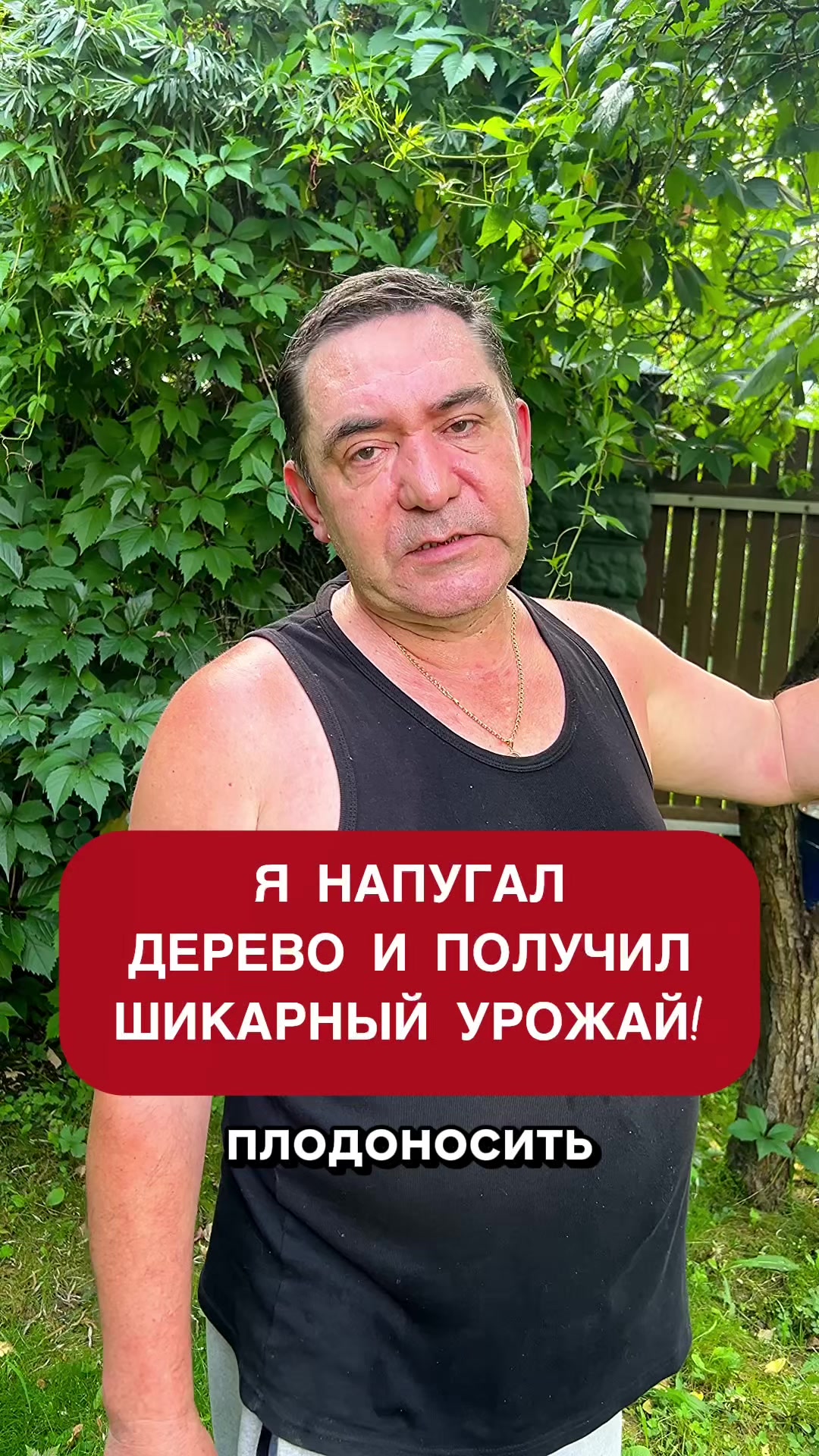 @dom_rustaevy