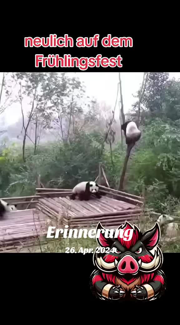 @🐗Fr&auml;nkischer-Rampen- Eber🐗