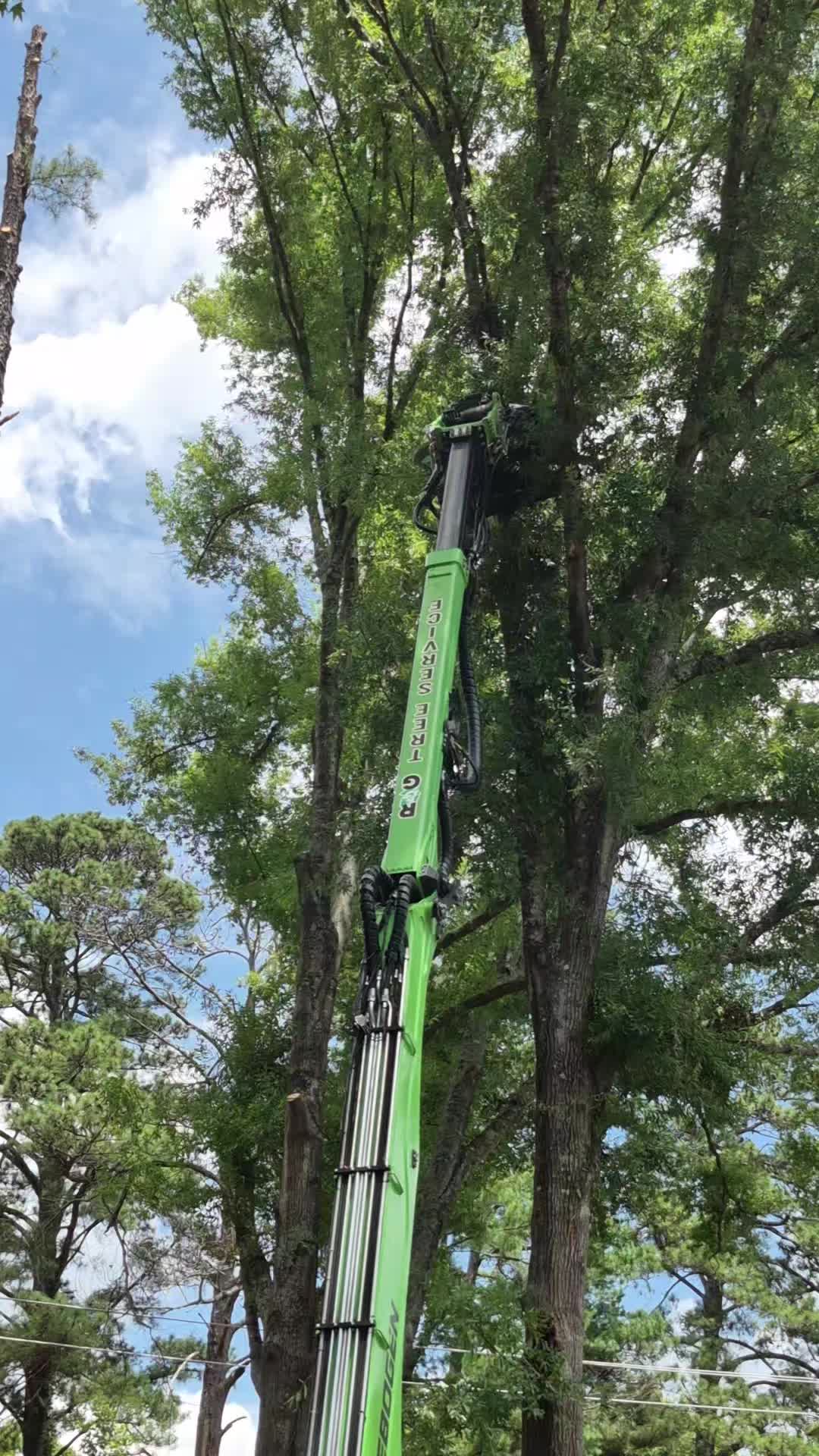 @R&G tree and landscaping