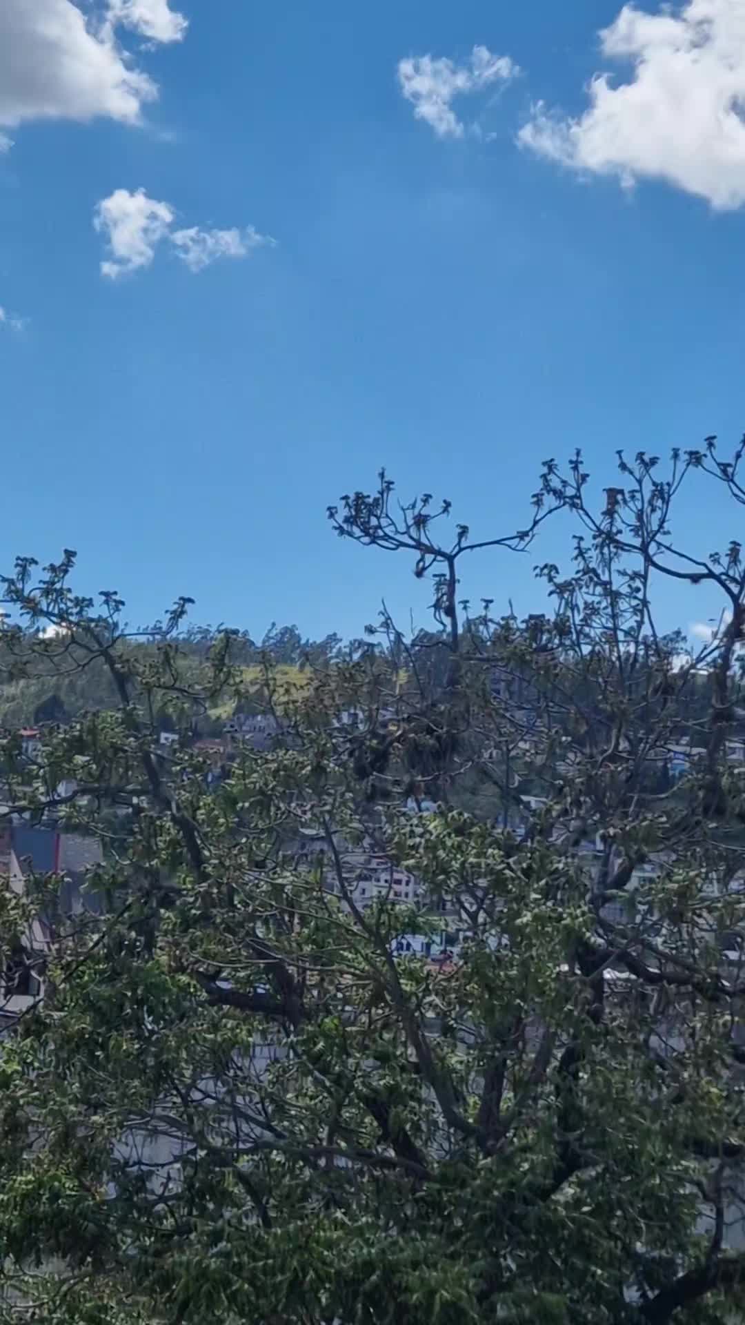 @Olgui Flores