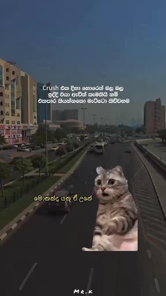 @මිස්ටර් K official