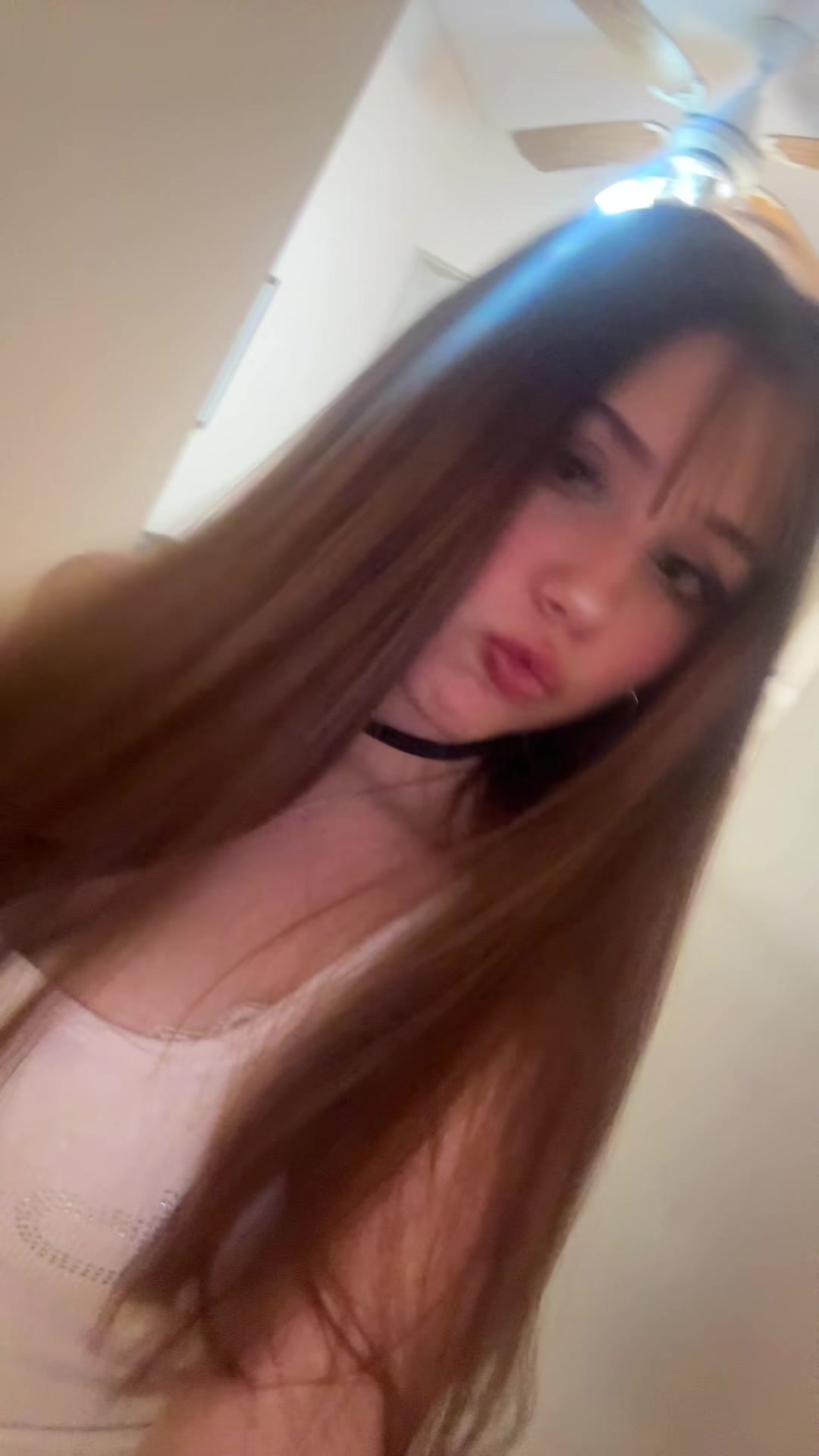@🐩