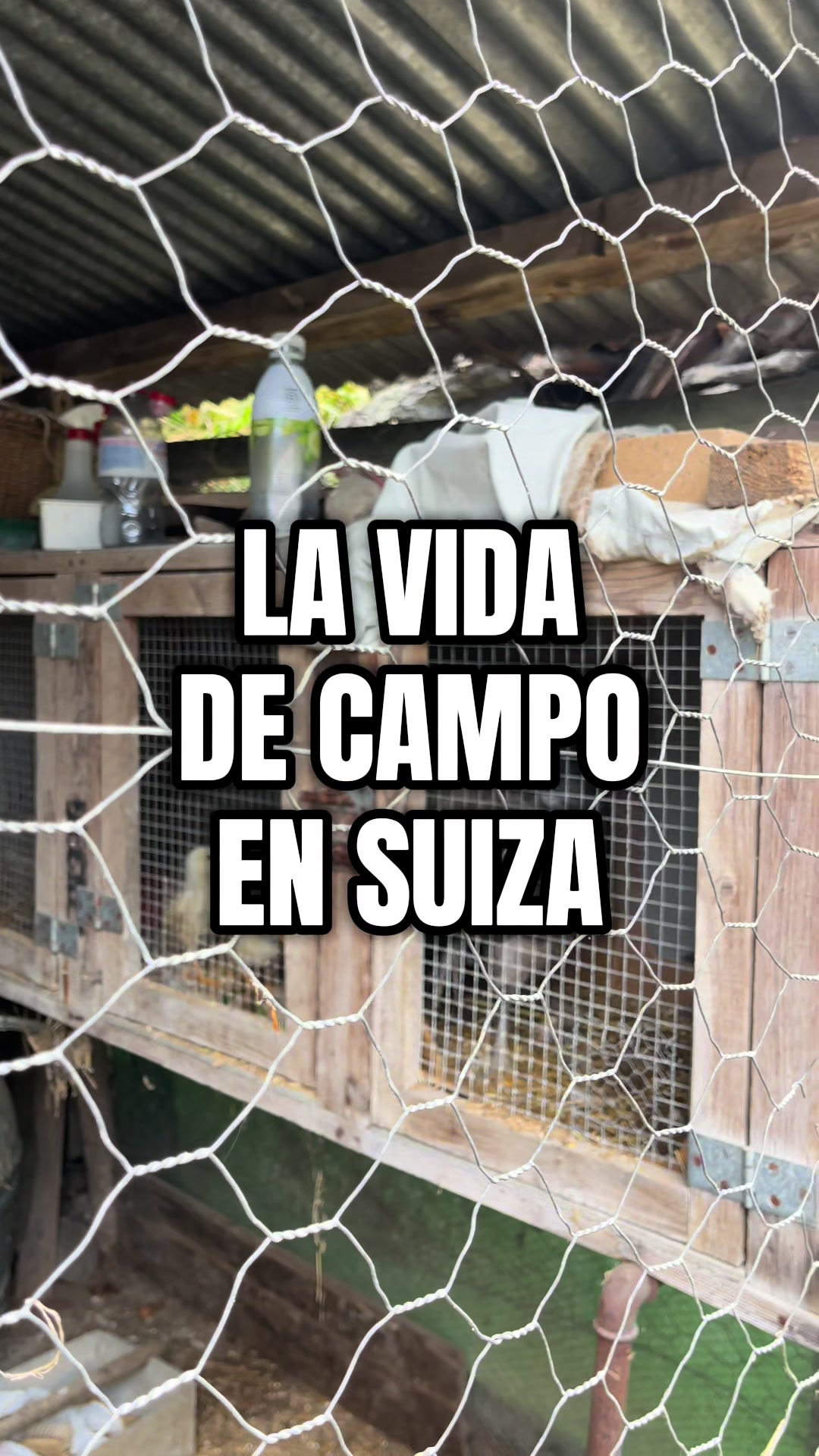 @J TURCIOS