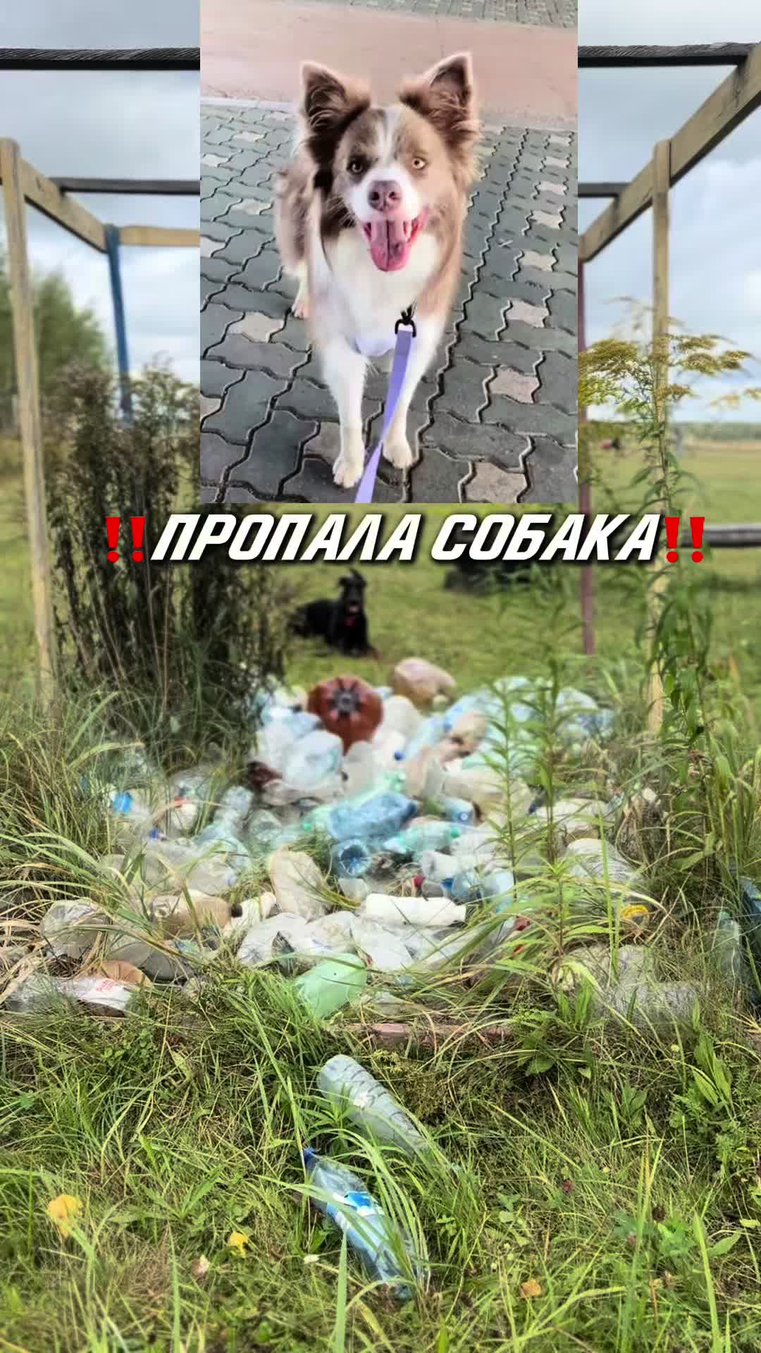 @‼️тг: grandorf‼️